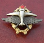 Нагрудный знак "За окончание военной школы пилотов ВВС РККА" 1936 год, копия, фото №3