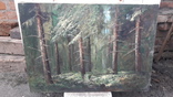 Пищанский лес., фото №5