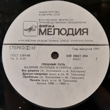Валерий Леонтьев и группа Эхо (Грешный Путь) 1988-89. (LP). 12. Vinyl. Пластинка, фото №4