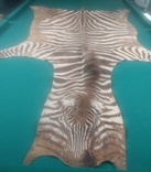 Шкура зебри Південна Африка, фото №5