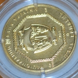 5 гривень 2014 золото 999, фото №10