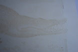 Крокодил Лінорит є підпис 1980і, фото №8