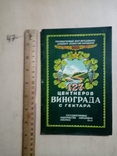 127 центнеров Винограда с гектара 1949 г. тираж 5 тыс, фото №2