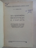 127 центнеров Винограда с гектара 1949 г. тираж 5 тыс, фото №3