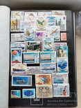 Альбом марок, фото №3