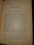 1907 Основы государственного права Англии, фото №3