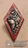 Знак 7 годовщина Октября, СССР, копия, №34, 1924 год, фото №3