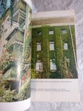 Озеленение балконов 1980, фото №5