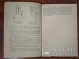 "Панариций и его лечение".Профессор А.Н.Рыжих.На базе методов Вишневского.1950г.Т.8000., фото №7