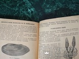 "Ставкове рибне господарство колгоспів України" І.М.Ростовцев.Київ 1946 Харків., фото №11