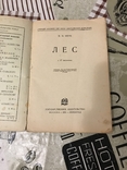 Лес Представления о лесе 1928год, фото №4