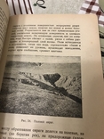 Лес Представления о лесе 1928год, фото №7