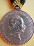 Военная медаль 1873 года, фото №3