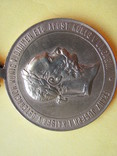 Военная медаль 1873 года, фото №4