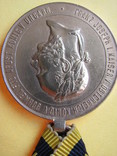Военная медаль 1873 года, фото №5