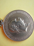 Военная медаль 1873 года, фото №6