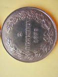 Военная медаль 1873 года, фото №10