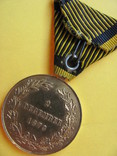 Военная медаль 1873 года, фото №13