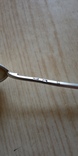 Серебряная ложка84пробы., фото №2
