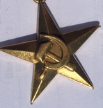 Медаль Золотая Звезда и Орден Ленина, фото №5