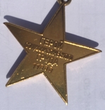 Медаль Золотая Звезда и Орден Ленина, фото №6