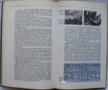 Олександр Пугач і Клим Чурюмов, "Небо без чудес" (1987). Цікава астрономія, фото №12