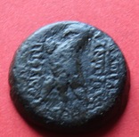 Обол (Ае-20) царя Селевкидов Антиоха VI Эпифана Диониса,144-142 г.г.  до н.э., фото №3
