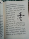 Чарльз Дарвин том 4. о движениях и повадках лазящих растений 1928 г. т. 4 тыс, фото №6