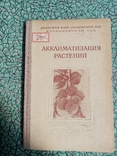 Акклиматизация растений 1953 г. т. 3 тыс., фото №2
