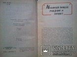 Іспанський роман золотого століття. 89 г, фото №4