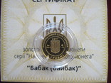 2 гривні НБУ 2007 рік Бабак (Байбак) Сурок Ідеал Золото 999,9, фото №4