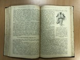 Профессор Гедонь. Учебник физиологии. Киев 1920 год, фото №12