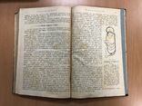 Профессор Гедонь. Учебник физиологии. Киев 1920 год, фото №13