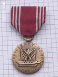 Медаль За безупречную службу Армия США, фото №2