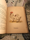 Птицеводство Цветные иллюстрации 1895год, фото №11