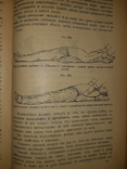 1896 Руководство к врачебной технике, фото №8