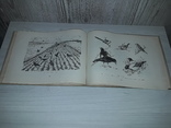 Приваблювання і охорона птахів 1964 А.О.Буценко тираж 3900, фото №11