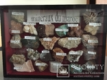 Коллекция минералов из Марокко (24 шт. в выставочной коробке под стеклом), фото №2