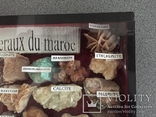 Коллекция минералов из Марокко (24 шт. в выставочной коробке под стеклом), фото №8