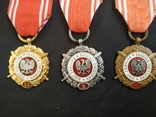Медалі ВИСЛУГИ V, X, XX років, фото №3