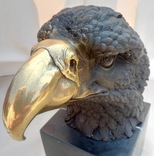 Голова белоголового орла бронза мрамор Европа 3,88 кг, фото №5