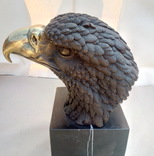 Голова белоголового орла бронза мрамор Европа 3,88 кг, фото №8