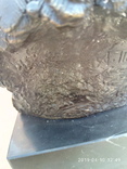 Голова белоголового орла бронза мрамор Европа 3,88 кг, фото №10