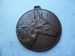 Собачий жетон Медаль Кинолог, фото №3