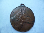 Собачий жетон Медаль Кинолог, фото №4