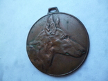 Собачий жетон Медаль Кинолог, фото №5