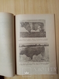 Каталог Быков производителей Курганской породы 1950 г. тираж 150 экз. Редкий, фото №7
