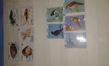 Почтовые марки Кубы. Птицы, рыбки., фото №2