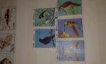 Почтовые марки Кубы. Птицы, рыбки., фото №5