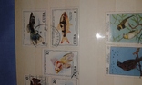Почтовые марки Кубы. Птицы, рыбки., фото №7